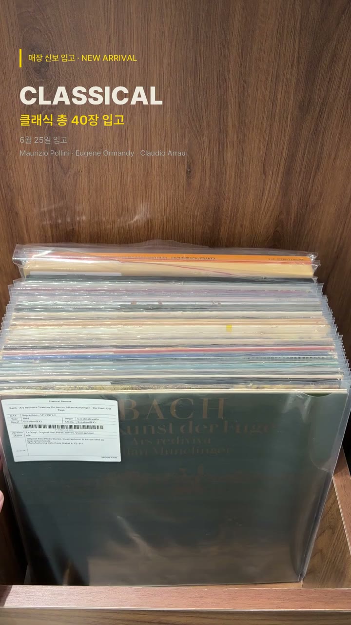 NEW ARRIVALS 2026.06.25 — 매장 신보 입고