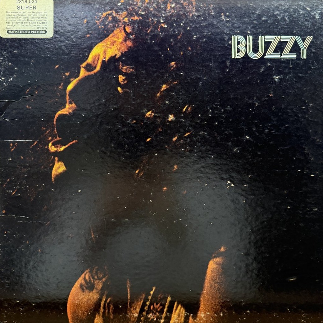 Buzzy Linhart 〈Buzzy〉 자켓