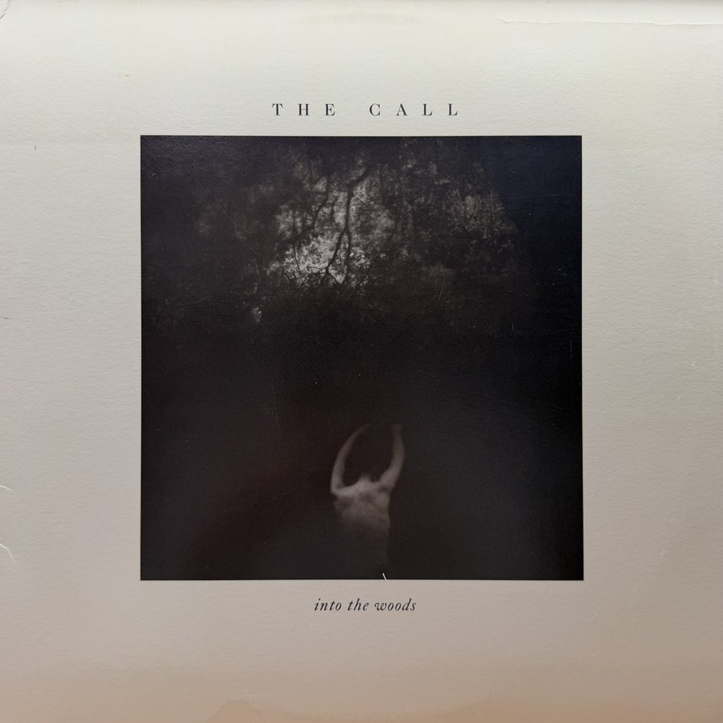 The Call 〈Into The Woods〉 자켓