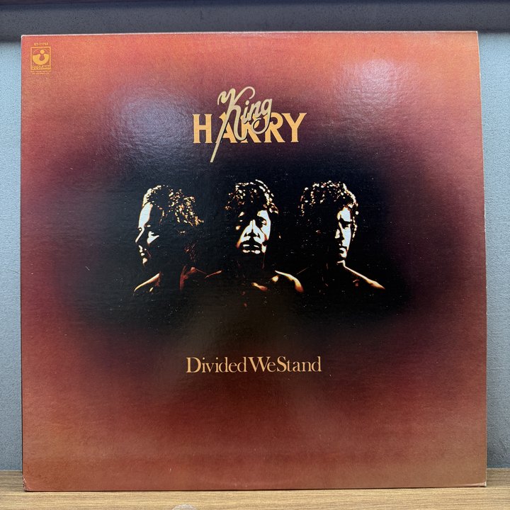 King Harry 〈Divided We Stand〉 자켓